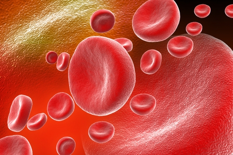 Body Care Blood Cells