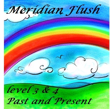 meridian-flush-3